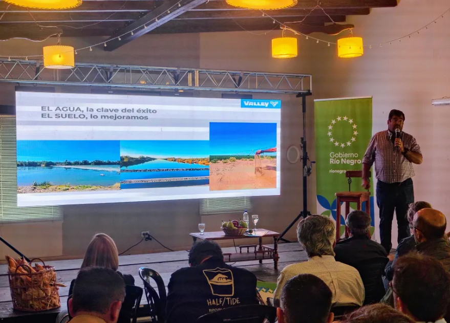 El maíz bajo riego gana terreno en la Norpatagonia y productores analizan su&nbsp;expansión