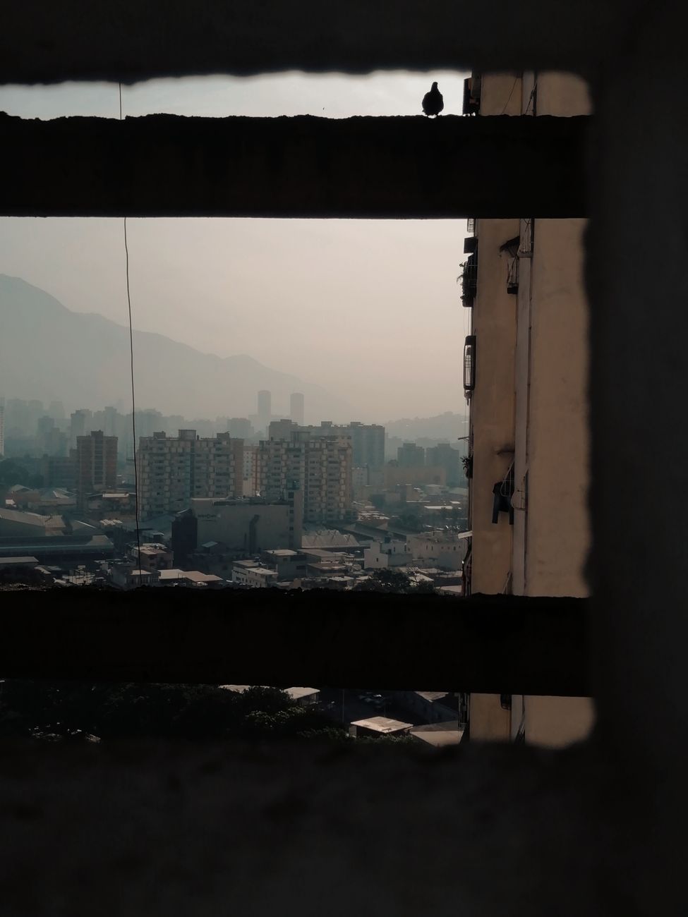 Denuncias por lentitud en ayuda tras terremotos devastadores en&nbsp;Venezuela