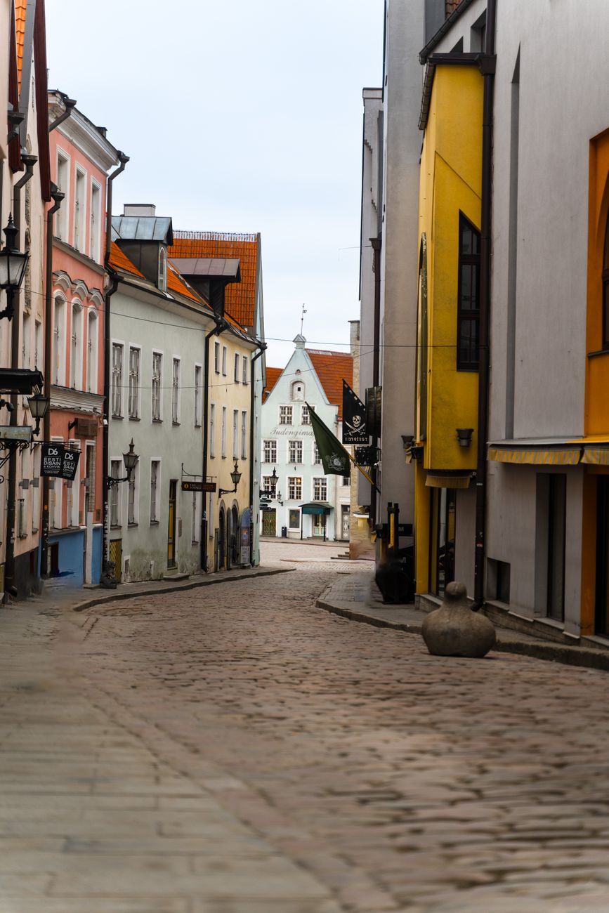 Estonia comparte lección ancestral: la muerte desiguala&nbsp;desiguales