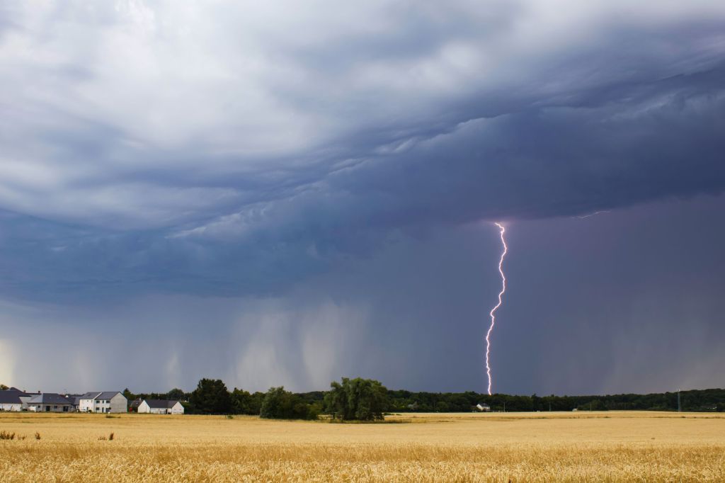 El Niño obliga a replantear prácticas en la agricultura&nbsp;nacional