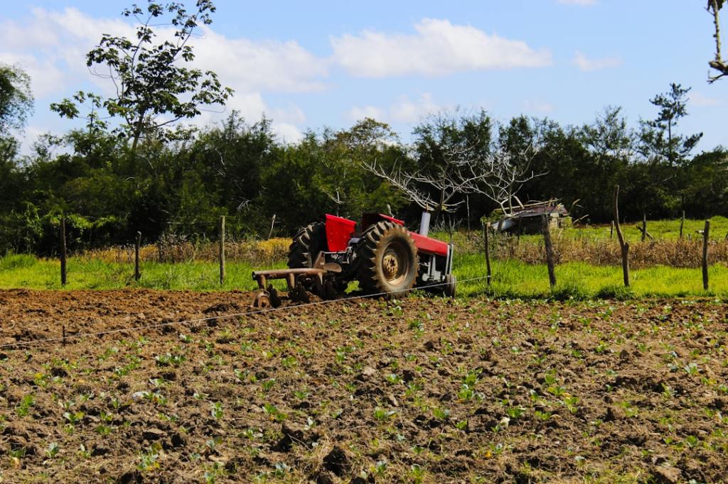 Créditos hasta 48 meses: el Banco de Corrientes subsidia tasa para el&nbsp;agro